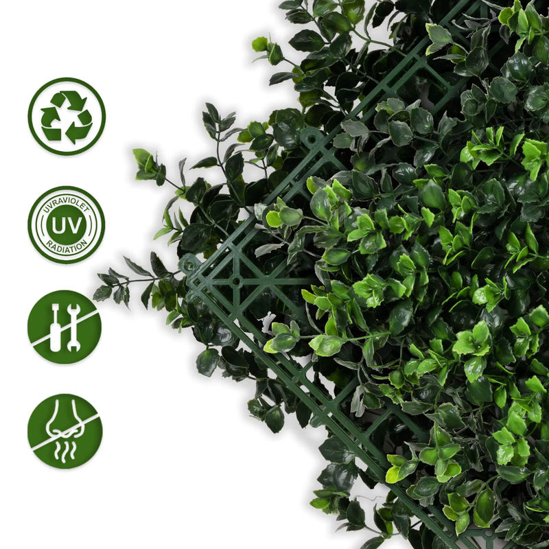 FLOORDIREKT Pflanzenwand Pachysandra grüne Kunstpflanzen zur Wandmontage, B/H: 50 x 50 cm - Bild 2