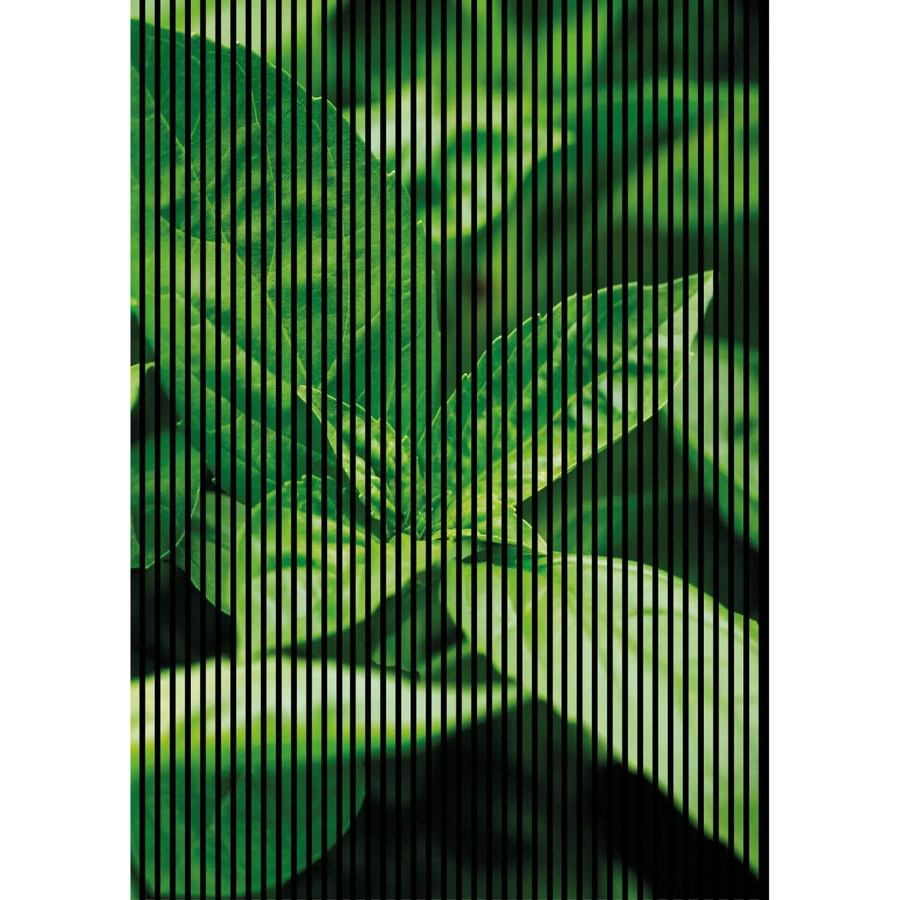 FN Acustico Akustikplatte Basilikum in modernem Design aus PET und MDF, B/H: 1.693 x 2.400 mm, Tiefe: 19 mm - Bild 2