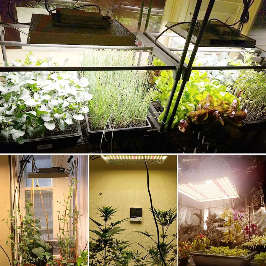 GRAXGROW 100 W Vollspektrum-Wachstumslicht Quantum-Board mit einstellbarem Spektrum und IP65 Wasserdichtigkeit für dein Gewächshaus - Bild 6