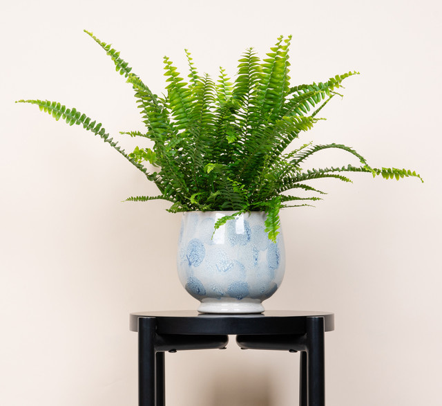 Keramik Übertopf Konfetti von Blume2000 in Blau, Durchmesser: 14 cm, Höhe: 15 cm - Bild 1