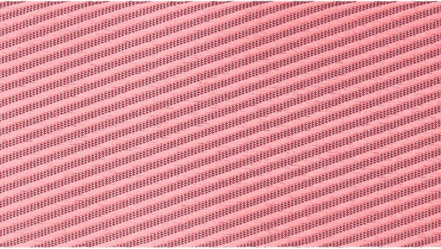 Rico Design Paper Poetry Webband mit diagonalen Streifen in Mauve/Neon Pink, Breite: 50 mm, Länge: 3 m - Bild 1