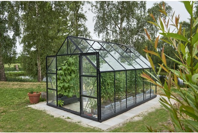 Halls Gewächshaus Universal mit Sicherheitsglas und Aluminiumrahmen in Schwarz mit 9,9 m² Fläche - Bild 1