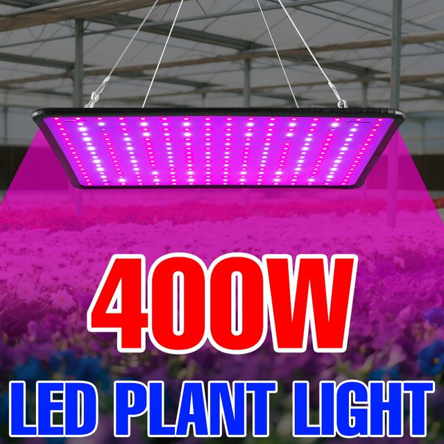 CanLing LED Pflanzenlampe 400 W Vollspektrum Quantum Board in Schwarz für Indoor Anbau von Obst, Gewächshaus und Sukkulenten - Bild 1