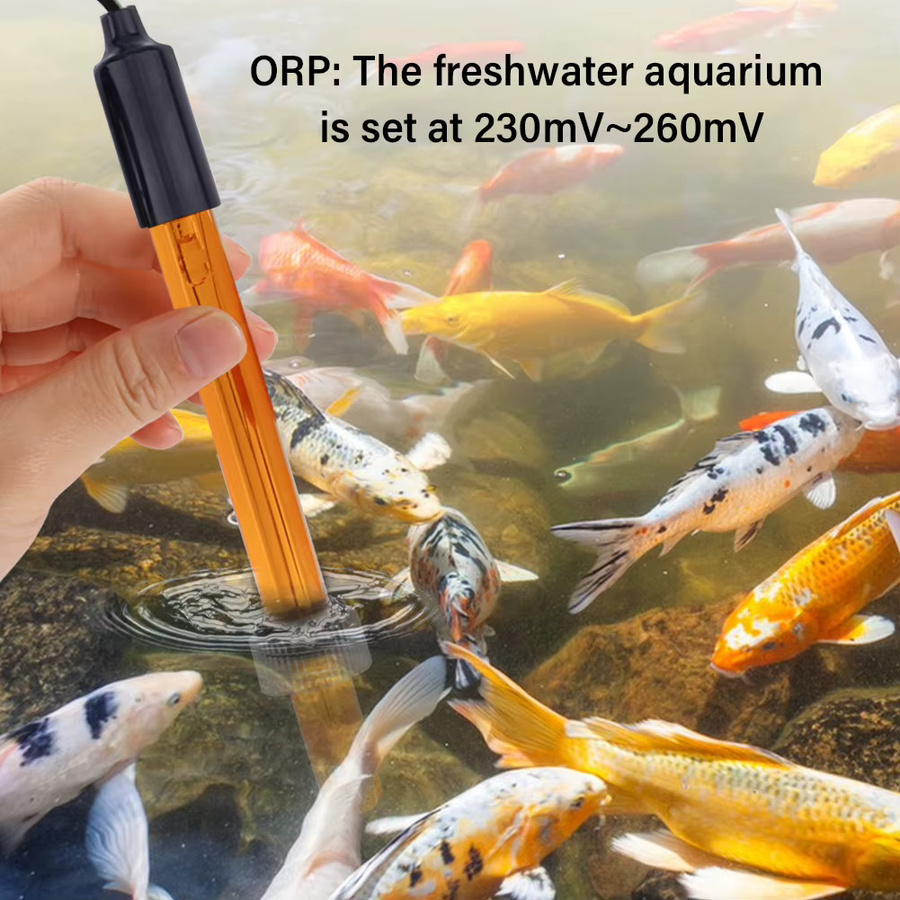 Yieryi ORP-Ersatzsonde zur Messung des Oxidations-Reduktions-Potenzials für Aquarium, Spa und Pool mit BNC Q9-Anschluss und 256 mV Messbereich - Bild 3