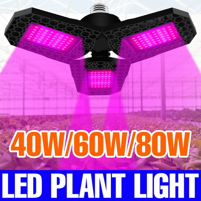 CanLing 80W LED Pflanzenwachstumslampe E27 Vollspektrum Faltbare Kultivierungsleuchte in Schwarz für Gewächshaus, Hydrokultur, Blumen und Gemüse - Bild 1