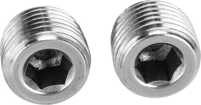 KaiSai 2er-Set Rohrstopfen mit Außengewinde 1/4in NPT aus Edelstahl in Schwarz und Silber mit Innensechskant - Bild 1