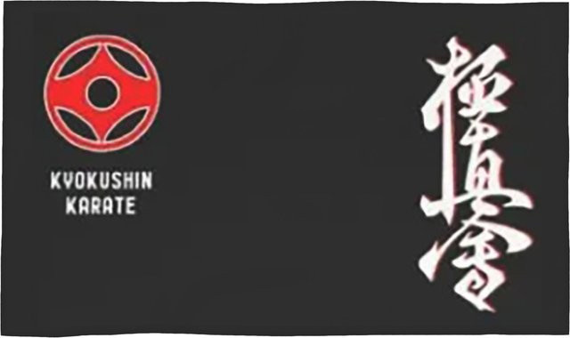 Kyokushin Karate Kanji Taijutsu Baumwollhandtuch schnelltrocknend und saugfähig, Farbe: Weiß, B: 40 cm, H: 60 cm - Bild 1