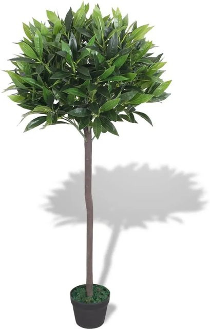 furnicato Künstlicher Lorbeerbaum in Grün mit Kunststofftopf, Höhe: 125 cm - Bild 1