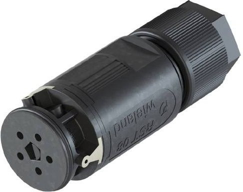 Wieland Electric 4L.051.3051.8 Steckverbinder in Grau und Schwarz - Bild 1