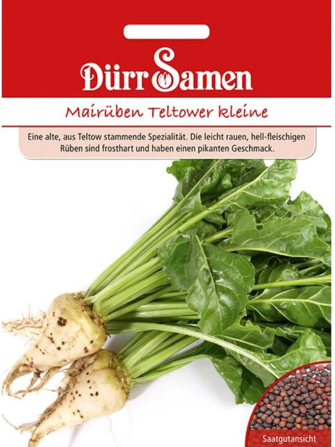 Dürr Mairüben Teltower Saatgut für Frühjahr und Sommer - Bild 1