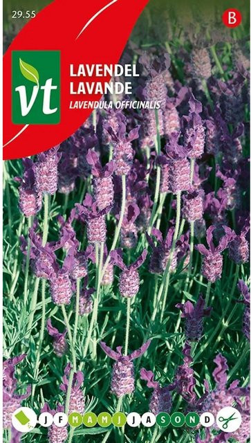 Arborix Lavendel Saatgut duftend 0,75 g - Bild 1