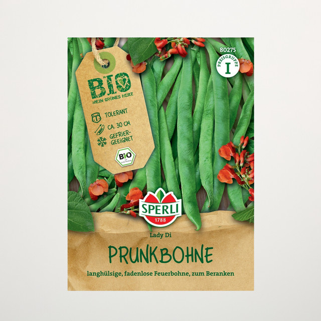 Sperli Prunkbohnen Lady Di Bio Gemüsesamen Kletterbohnen - Bild 1