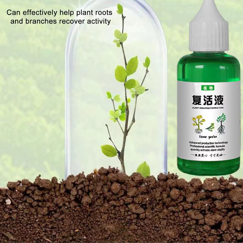 Pflanzenauferstehungsflüssigkeit als universelle Nährstofflösung für Gardenien und Orchideen zur Vitalitätssteigerung und für schnelles Wachstum, 50 ml - Bild 3