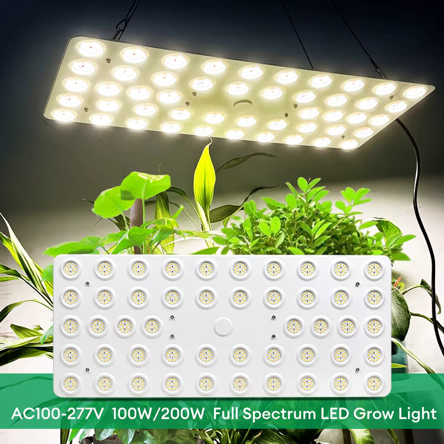 GRAXGROW LED-Wachstumslicht Vollspektrum Dimmbares Panel mit Reflektor für Garten und Bauernhof - Bild 6