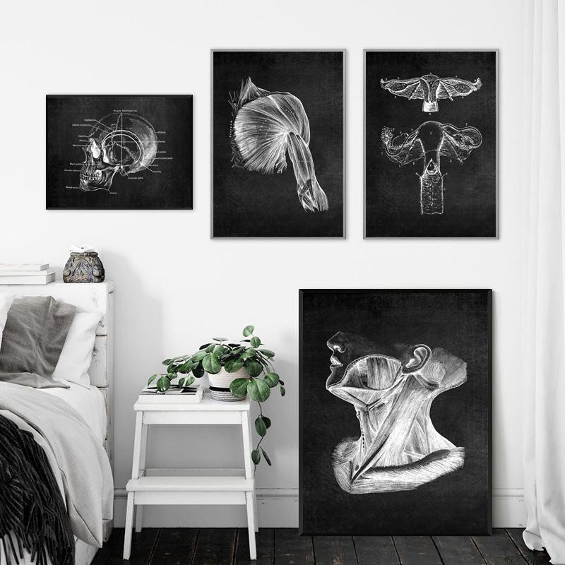 DIMENGQI Vintage Wandbild Menschliche Anatomie Leinwanddruck Skelett Organ und Muskelsystem in Schwarz-Weiß, Breite: 40 cm, Höhe: 50 cm - Bild 3