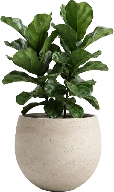 Pflanztopf Sandro von Aplanta, Keramik, beige, rund, Durchmesser: 28 cm, Höhe: 23 cm - Bild 1