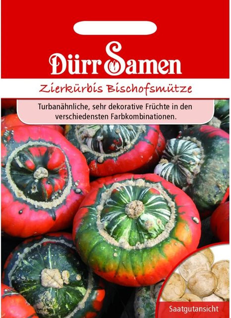 Dürr Zierkürbis Bischofsmütze Saatgut - Bild 1