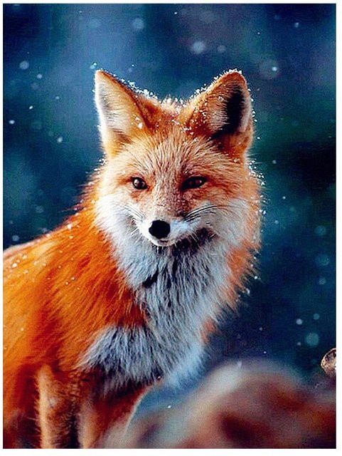 FIYO DIY Diamantmalerei Winter Fuchs als Mosaik-Stickerei mit Vollbohrern, Breite: 30 cm, Höhe: 40 cm - Bild 1