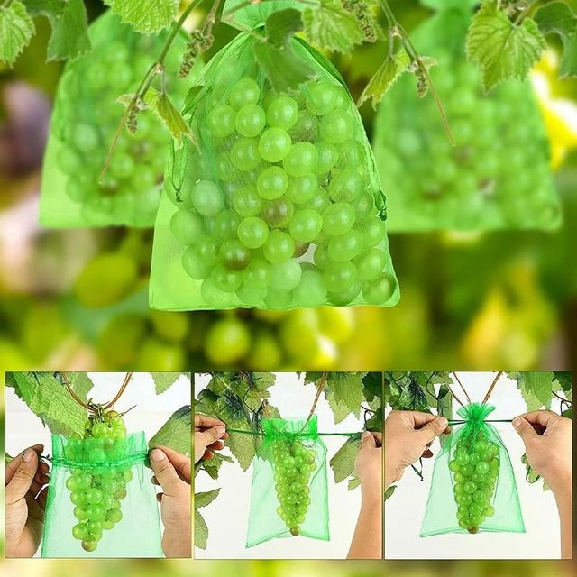 50er Set Happy Market Obstschutzbeutel Grün für Erdbeeren und Trauben zur Schädlingsbekämpfung, B/H: 17 x 23 cm - Bild 1