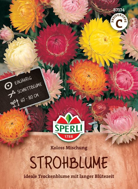 SPERLI Strohblumen-Samen Koloss Mischung bunt - Bild 1