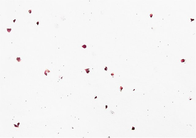 Rico Design Paper Poetry Bastelbogen Baumwollpapier mit Rosenblüten in Weiß - Bild 1