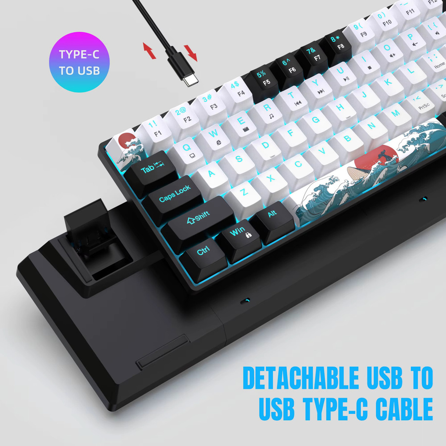 HXSJ Mechanische Gaming-Tastatur mit 68 Tasten und LED-Hintergrundbeleuchtung in Blau/Weiß mit Blue Switches - Bild 3