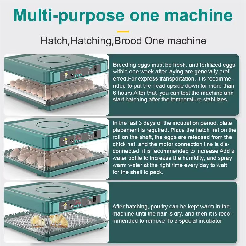 Bromose Vollautomatischer All-in-One Intelligenter Eierinkubator mit LED und Wasserschale zur Temperatur- und Feuchtigkeitsregelung inklusive Brutwerkzeugen für Hühner, Enten, Gänse, Tauben und Papageien - Bild 6