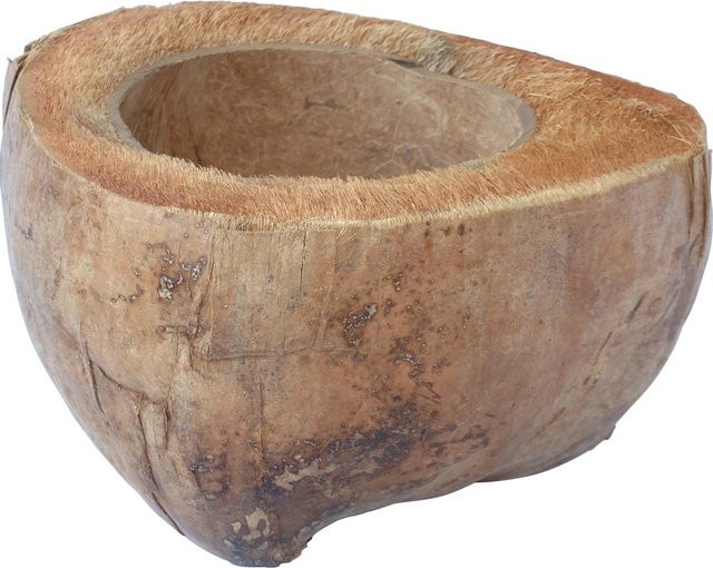 Proflora Vogeltränke aus Kokosschale in Braun mit Rattan-Elementen - Bild 1