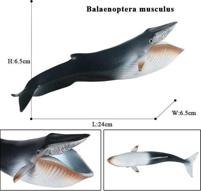 Oenux Meeresleben Actionfiguren Megalodon Beluga Hai Orca Pottwal Blauwal - Bild 1