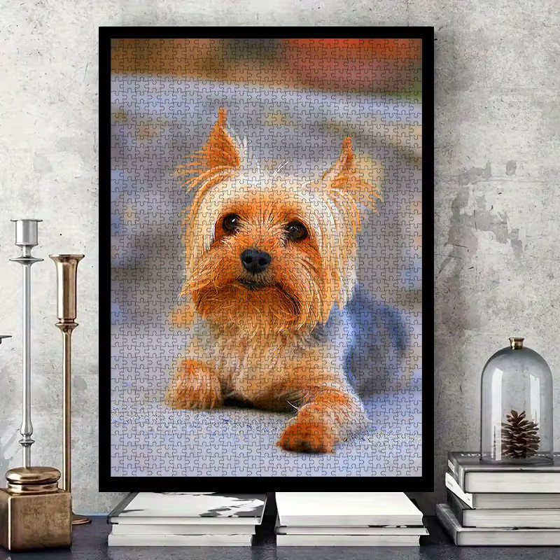 AZNM Yorkshire Terrier-Haustierpuzzle, 1.000 Teile - Bild 2
