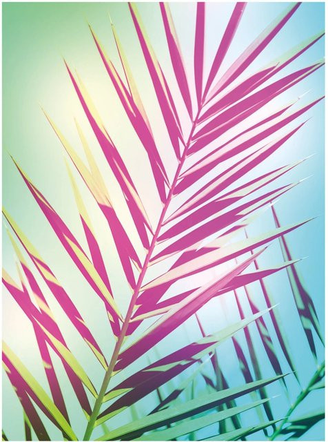 Komar Wandbild Shine Paper Poster Multicolor B: 30 cm, H: 40 cm - Bild 1
