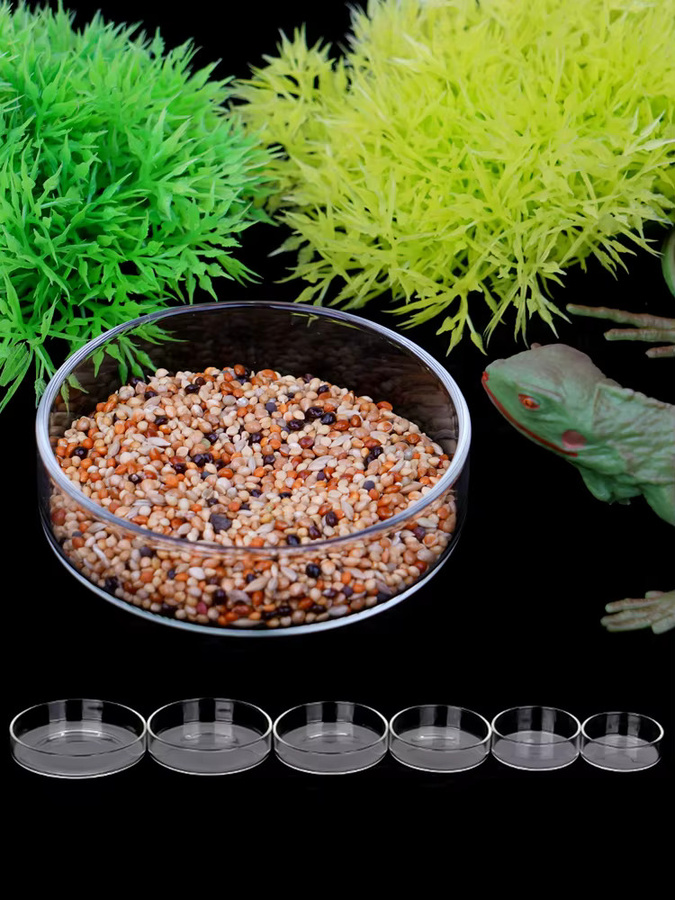 JIECARE Transparenter Glas Futternapf für Aquarium und Reptilien, Farbe: Transparent - Bild 5