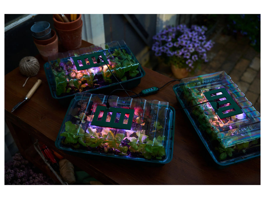 PARKSIDE LED-Anzuchtkasten-Set in Grün zur Anzucht von Samen, Keimlingen und Kräutern - Bild 3