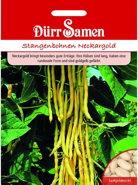 Dürr Samen Stangenbohnen Neckargold Saatgut 155 g - Bild 1