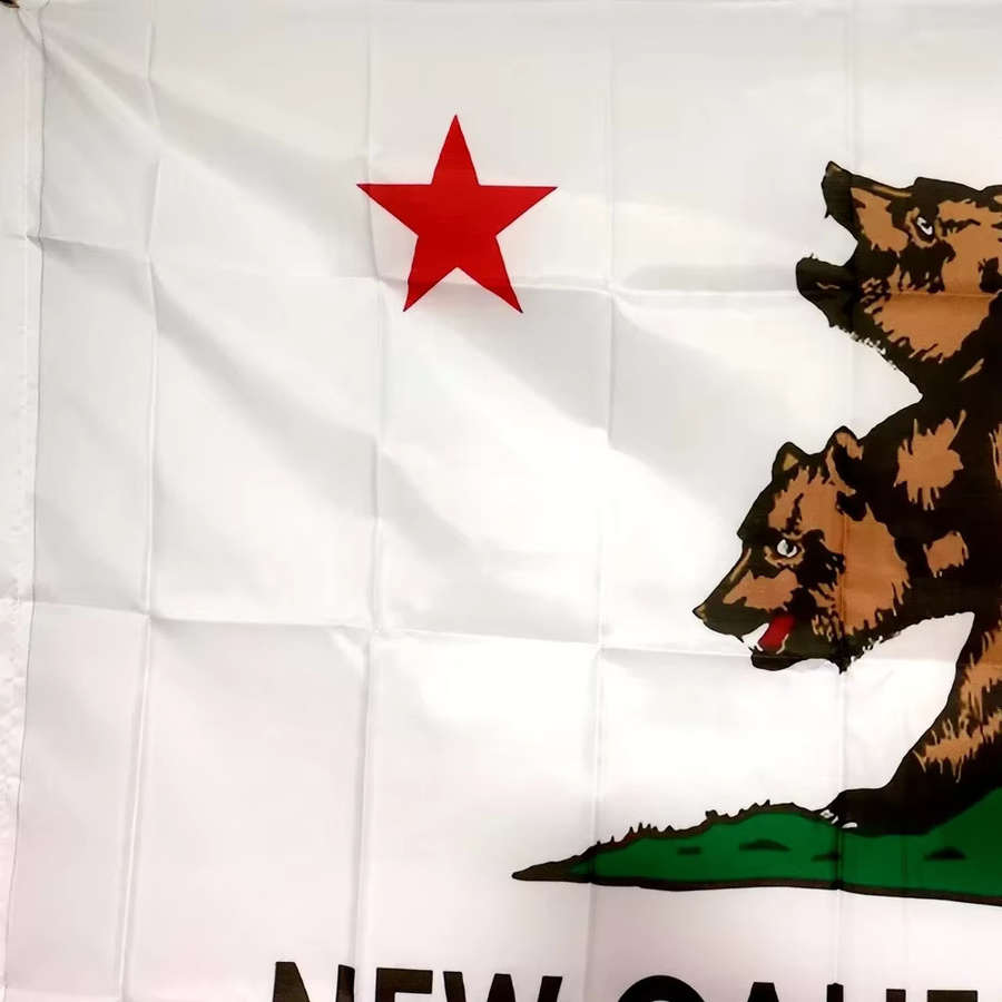 NCR Banner New California Republic Flag aus 100 % Polyester für Outdoor und Indoor, Farbe: Weiß, B x H: 90 x 60 cm - Bild 3