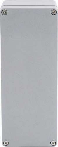 Boxexpert Elbe Industrie-Gehäuse aus glasfaserverstärktem Kunststoff in Grau, B/T/H: 160 x 260 x 90 cm - Bild 1