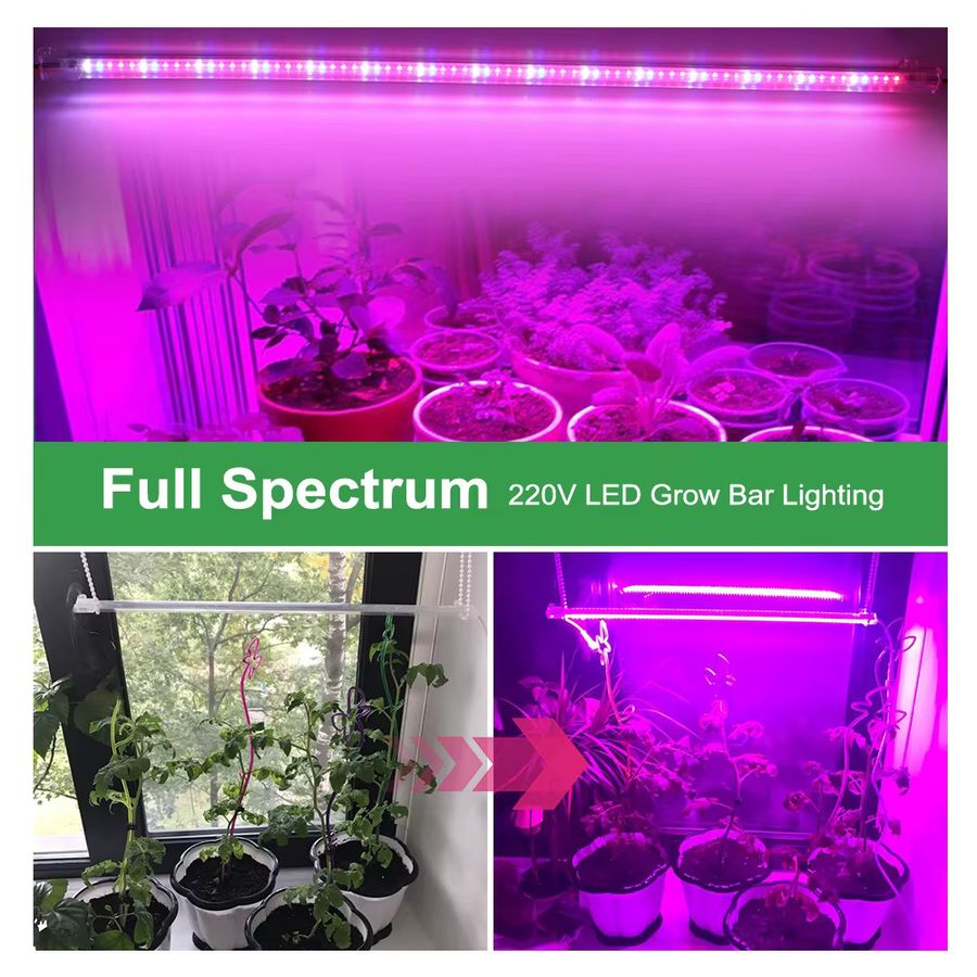 GRAXGROW Vollspektrum-LED-Wachstumslicht mit 75 LEDs als Lichtleiste für hydroponische Pflanzen und Gewächshausblüten, Länge: 50 cm - Bild 4