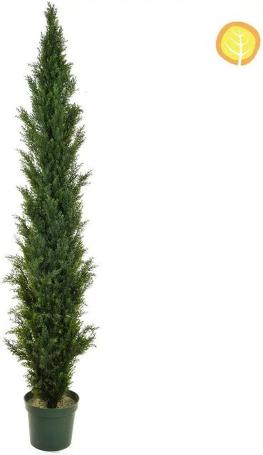 Künstliche Zeder Christine von Aplanta, Höhe: 200 cm - Bild 1