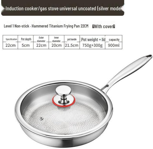 HomeHarmony Titan-Wok aus Edelstahl mit Glasdeckel, Silber, Durchmesser: 22 cm - Bild 1