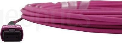 Lenovo AV28 BlueOptics LWL Trunkkabel MPO/UPC zu MPO/UPC, 15 Meter, Multimode OM4 G50/125µm, 12 Kerne, Typ B, Magenta - Bild 1