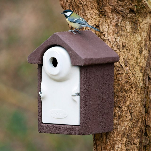 Nistkasten Sevilla WoodStone von CJ Wildlife in Braun aus Holzbeton mit 32 mm Wandstärke - Bild 1