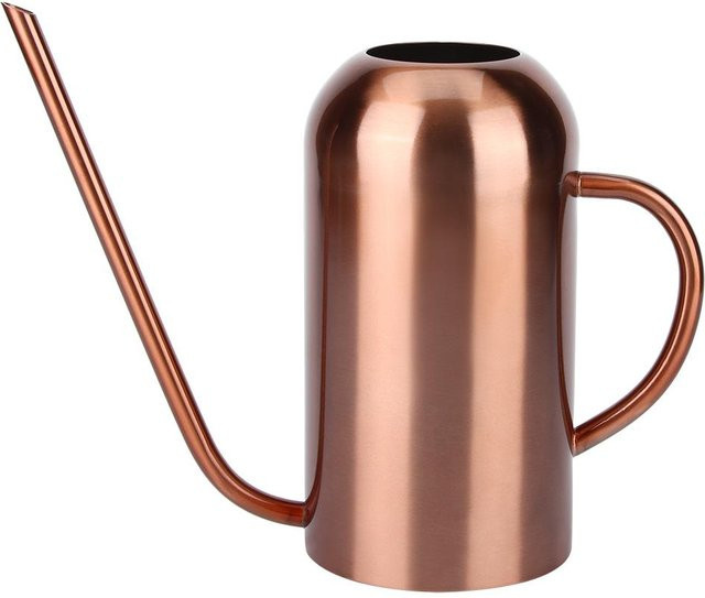 CosyHome Gießkanne aus Edelstahl mit Langhals in Beige, 1,5 l - Bild 1