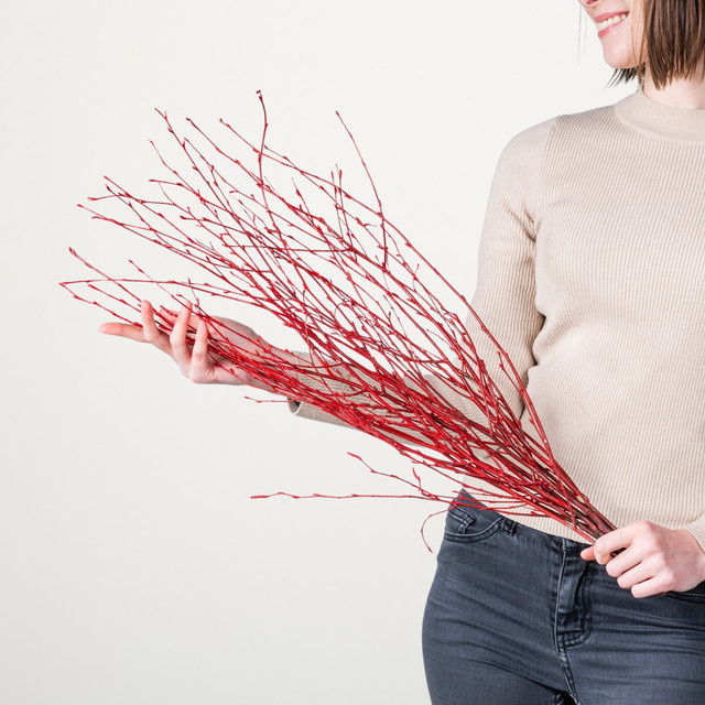 Rote Birkenzweige von BLUME2000 im 1er Bund für deine Osterdeko - Bild 1