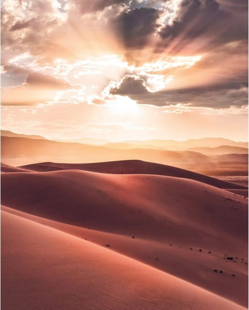 Komar Fototapete Vlies God Rays Multicolor B: 200 cm, H: 250 cm - Bild 1
