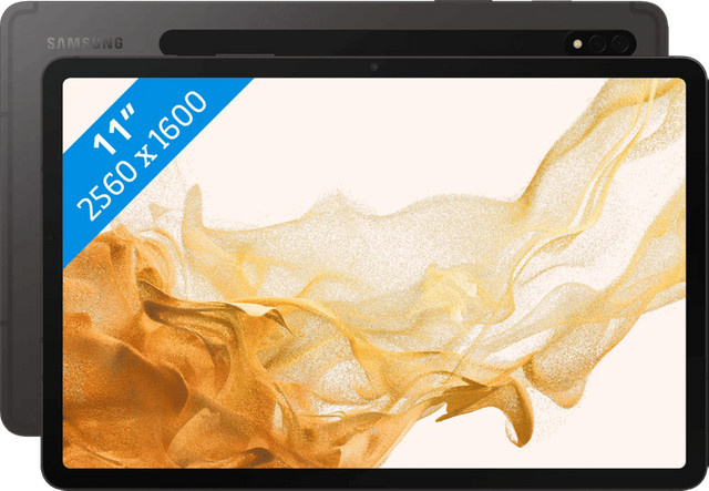 Samsung Galaxy Tab S8 11 Zoll Tablet 256GB Wi-Fi Grau - Bild 1