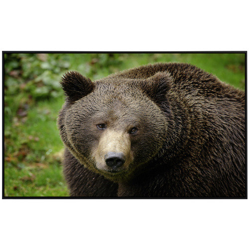papermoon Infrarotheizung EcoHeat Braunbär mit Matt-Effekt in Bunt, App-Steuerung und Überhitzungsschutz - Bild 2