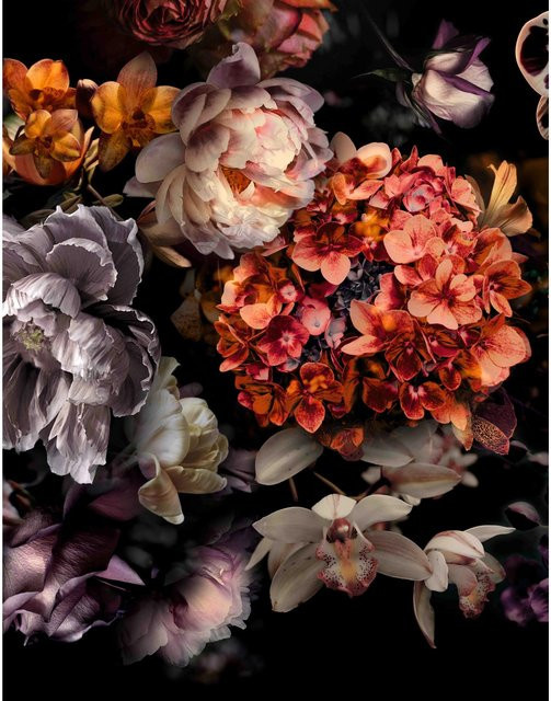 Marburg Fototapete Floral Modern in Schwarz-Rosa aus Vlies - Bild 1