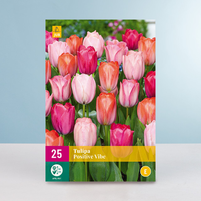 Tulpen Positive Vibe Mix Blumenzwiebeln von BLUME2000, 25 Stück - Bild 1
