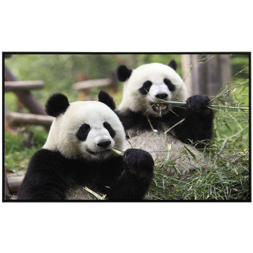 papermoon EcoHeat Infrarotheizung Riesige Pandas in Bunt mit Matt-Effekt, App-Steuerung und Überhitzungsschutz - Bild 2