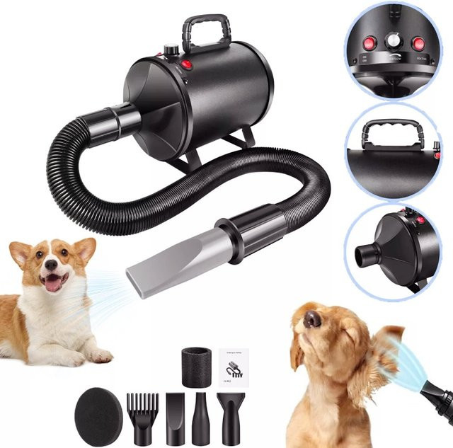 BRIEFNESS Hundegebläse 3500 W in Schwarz mit Schlauch und 4 Düsen, einstellbare Geschwindigkeit und Temperatur für die Haustierpflege von Hunden und Katzen - Bild 1